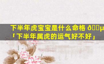 下半年虎宝宝是什么命格 🐵 「下半年属虎的运气好不好」